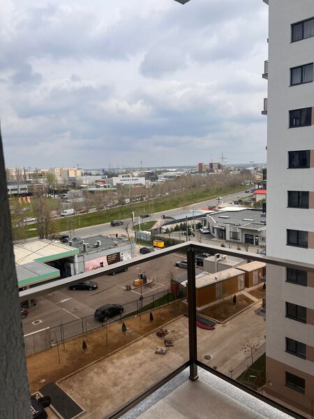 Theodor Pallady, Hils Residence,